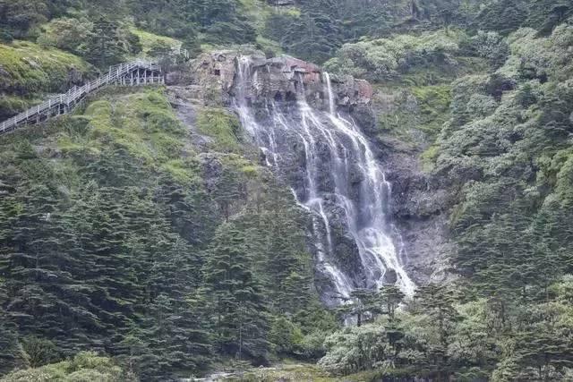 成长家园