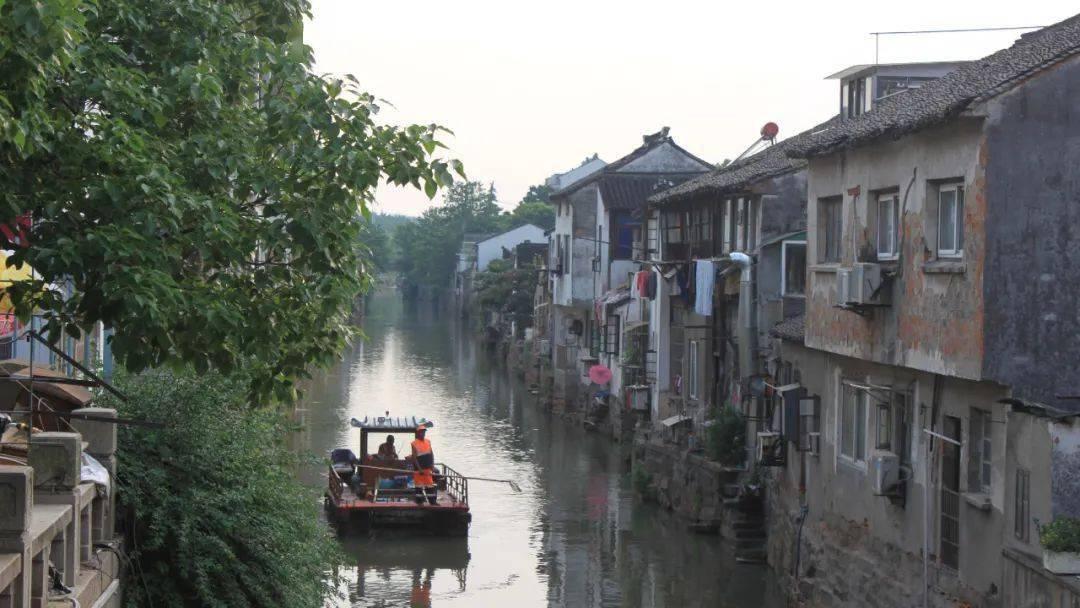 拯救精灵的土地7
